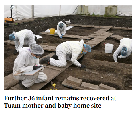 David Quinn tweet media