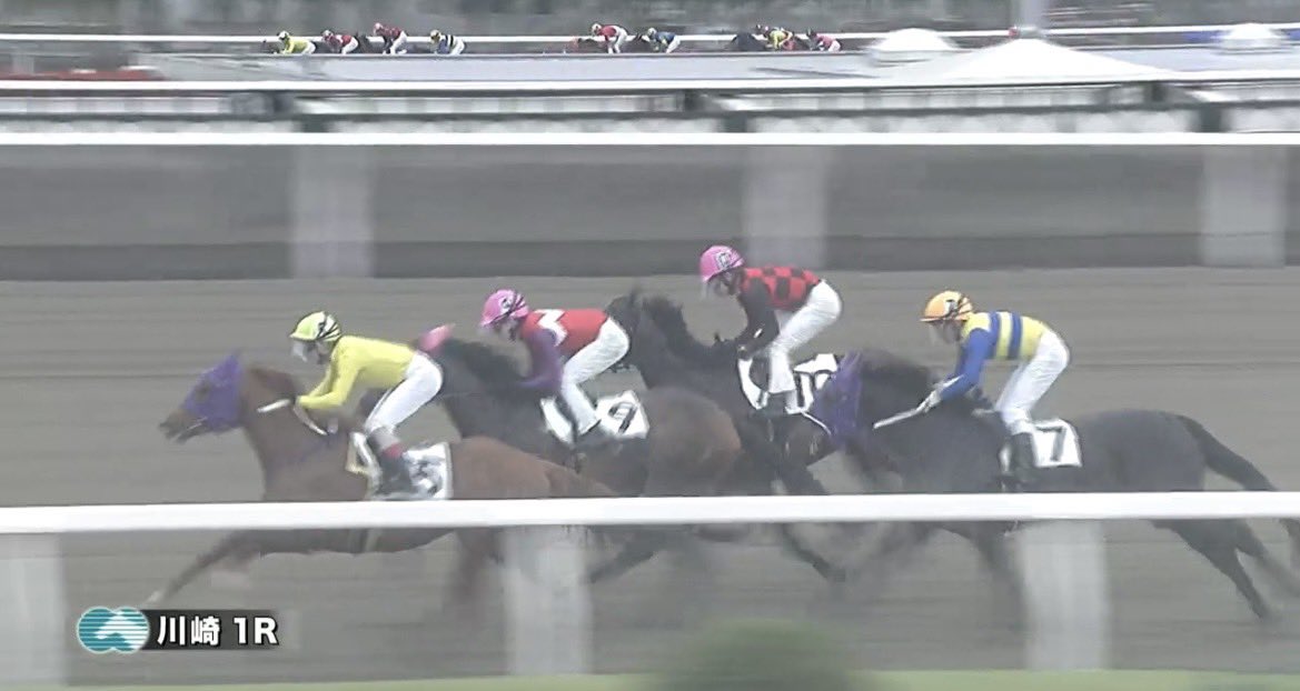 門別牧場 tweet media