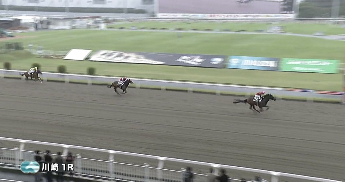 門別牧場 tweet media