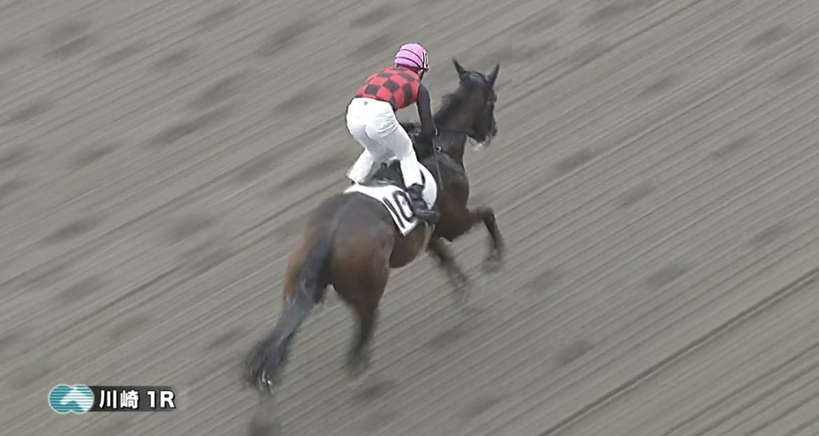 門別牧場 tweet media