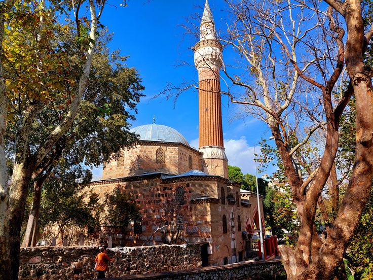 ......🇵🇸 tweet media