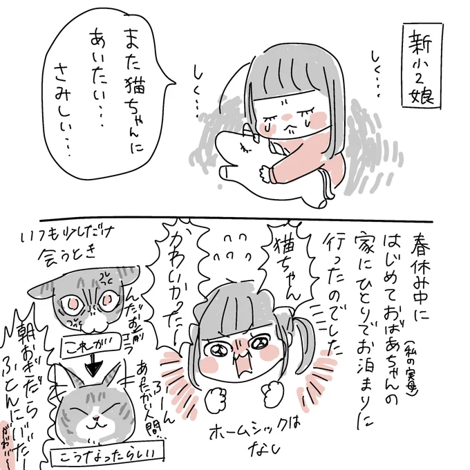 7歳娘、春休みに実家猫と過ごしたことが忘れられないらしくてしくしくしている 