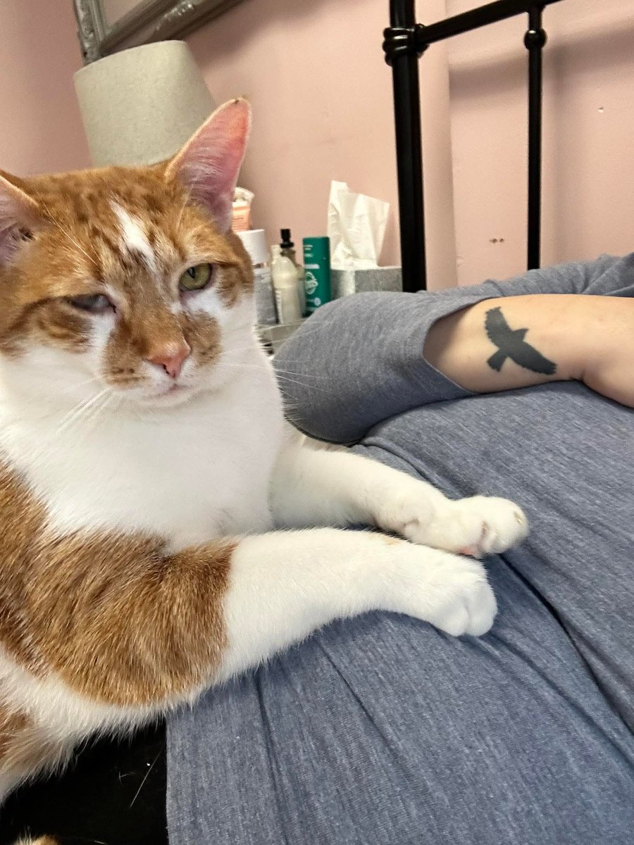 Sara Mary ⭐❤️ tweet media