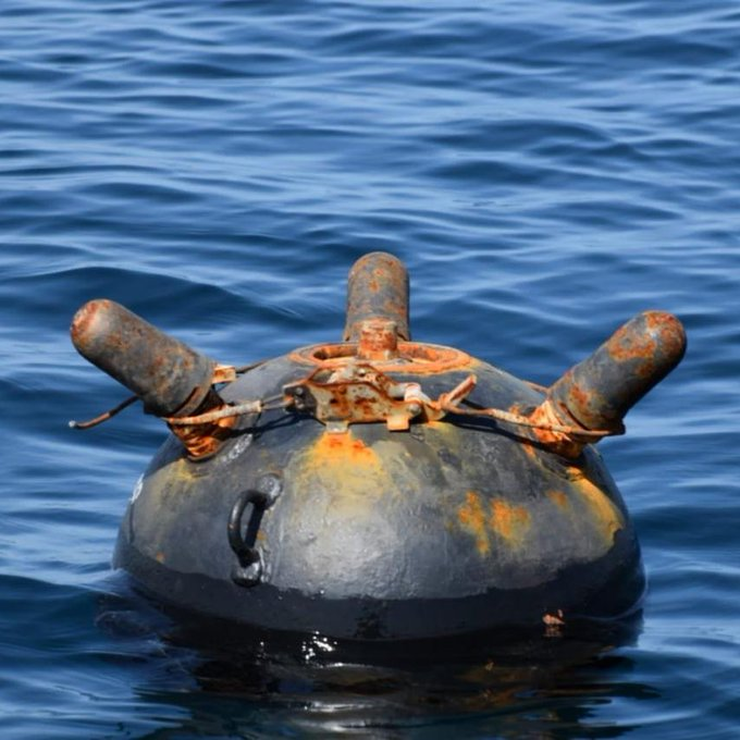 Conor Kenny tweet media