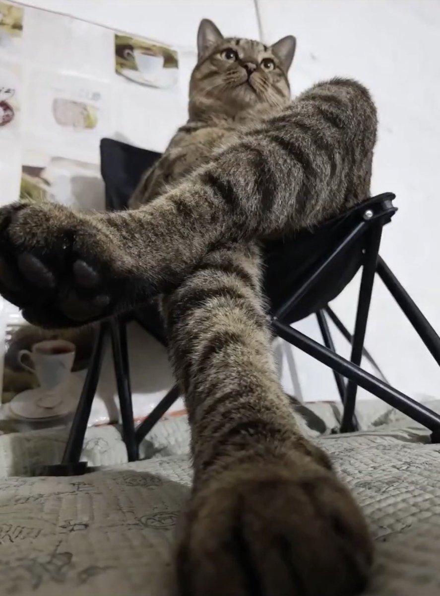 •̅_•̅ tweet media