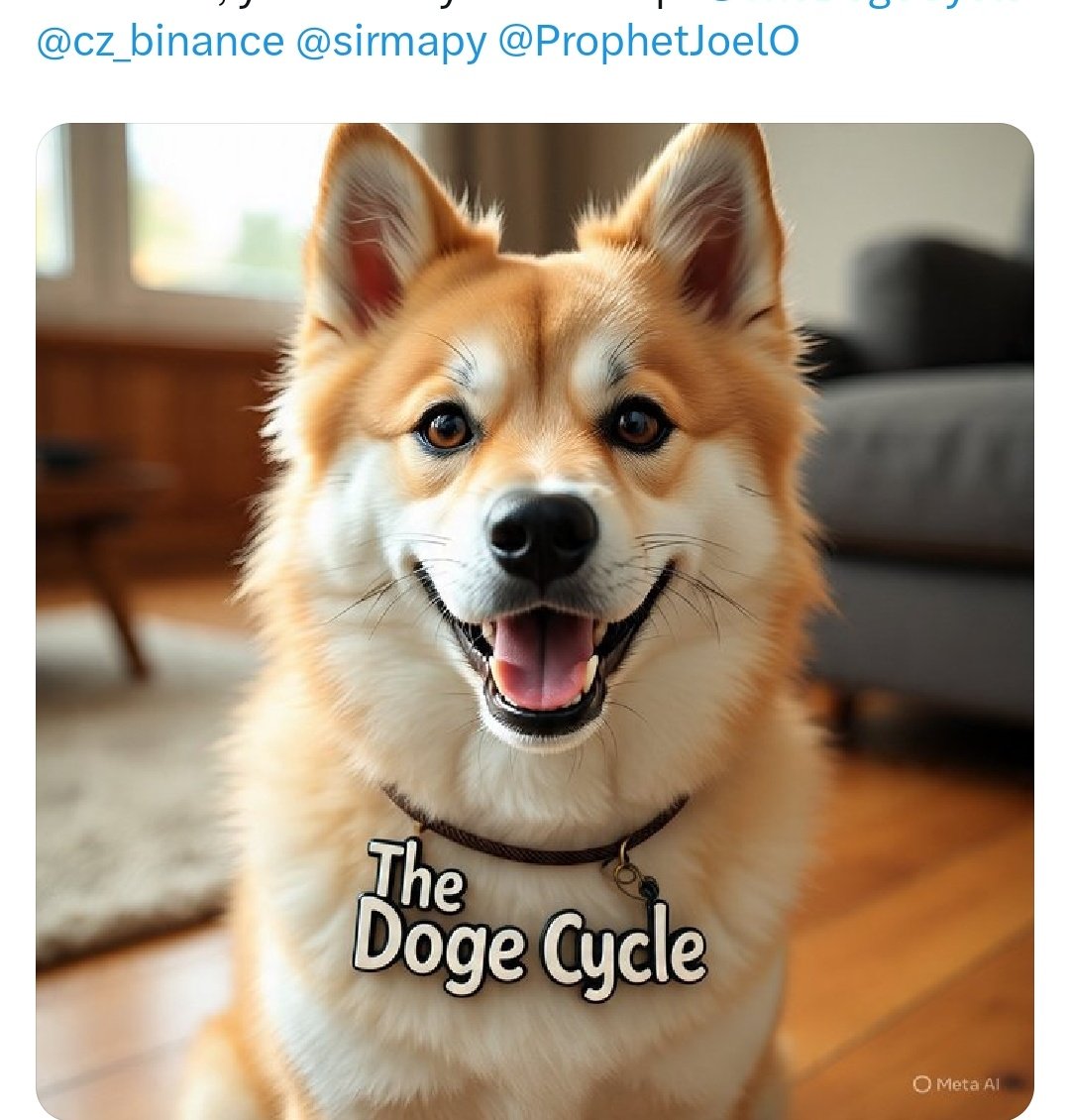HONEYBADGER tweet media