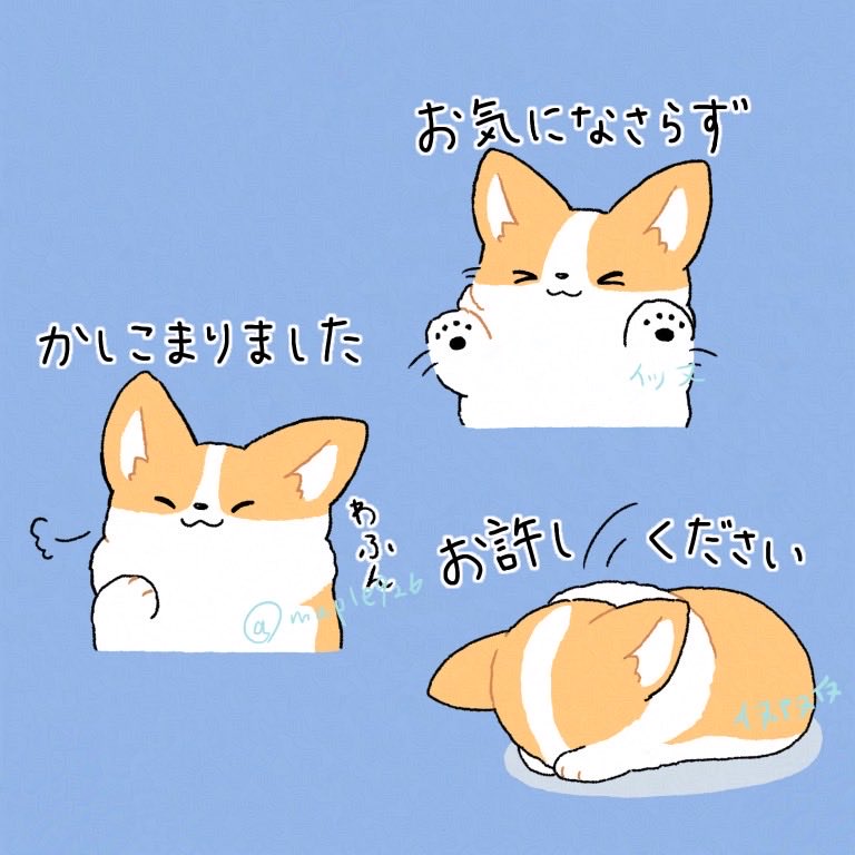 maple926's tweet image. 我が家のコーギー敬語スタンプを作成中です！🐕 #LINEスタンプ
