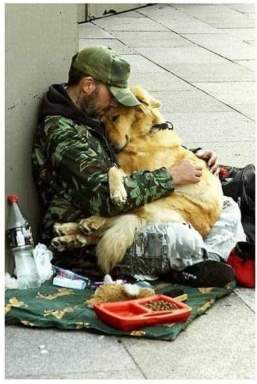 Tweets of Dogs tweet media