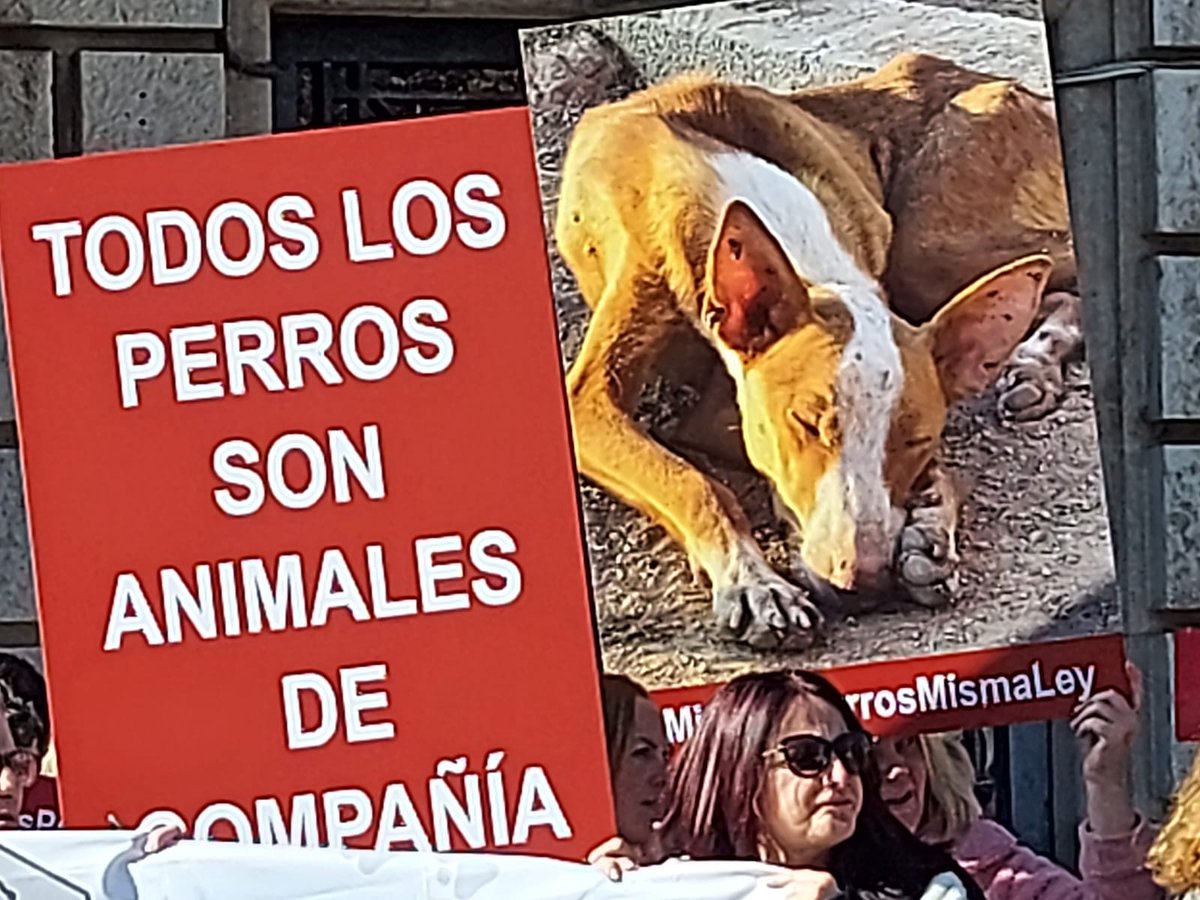 MISMOS PERROS MISMOS DERECHOS, MISMA LEY #mismosperrosmismosderechos
<a href="/AnimalesGob/">D. G. Derechos Animales</a>
✍️ Firma aquí y exige igualdad de todos los perros ante la ley:
change.org/mismosperrosmi…