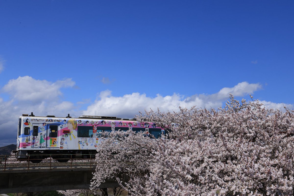 リアス潮風 tweet media