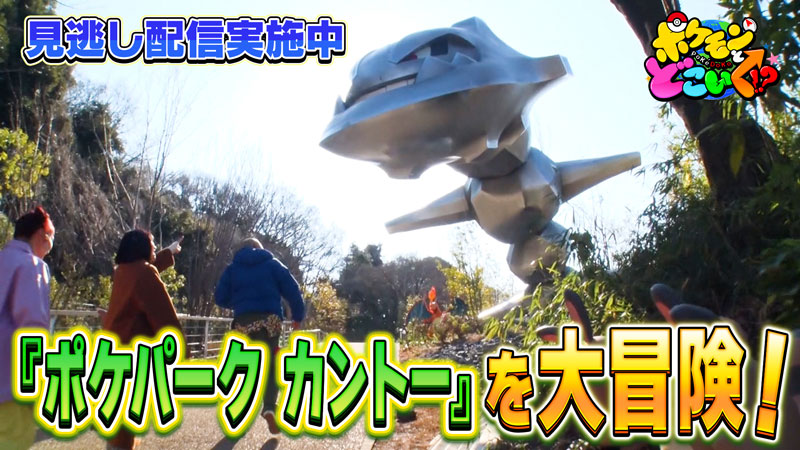 ポケモン公式 tweet media