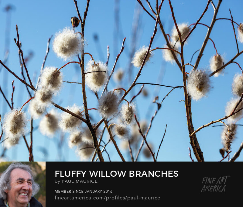 Paul C. MAURICE tweet media