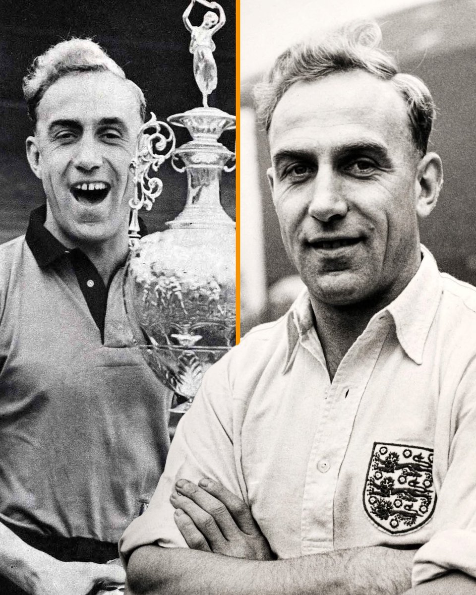 Talking Wolves tweet media