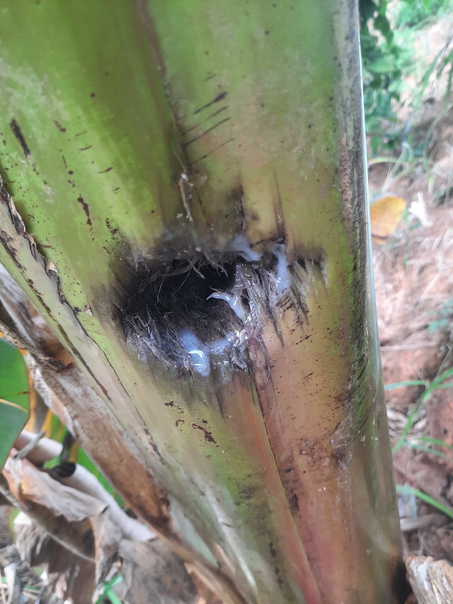 ❤️‍🔥 tweet media