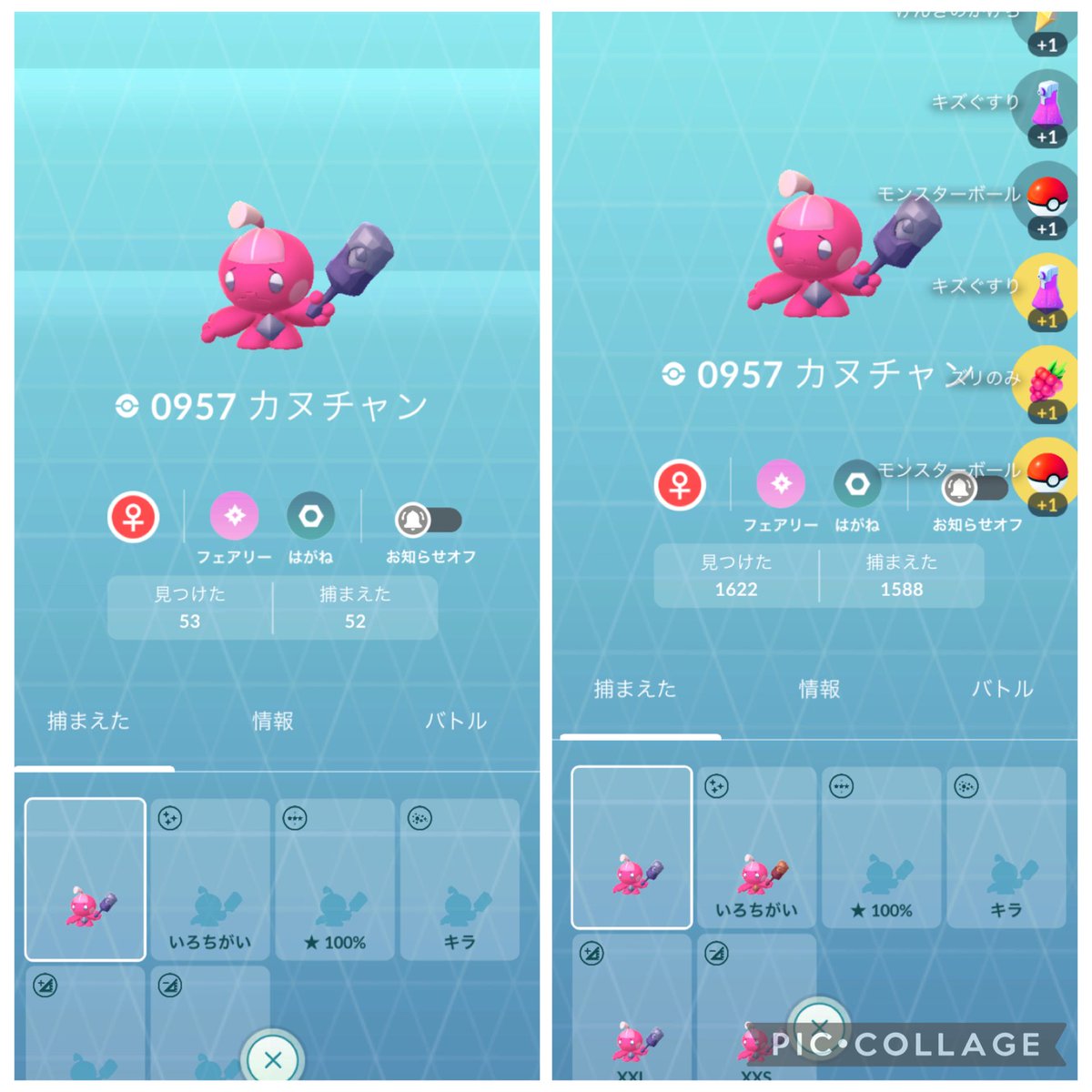 touch_ppap's tweet photo. カヌチャン、コミュデイ結果。
3時間で捕獲1536匹は過去最高だが、高個体は98%が1体だけの大惨敗😭交換用に色違いデカヌチャンを量産した。
家に帰ったらニュージーランドのフレンドからリモートレイドの誘いが。CP兄さん来い！ってあれ…やっぱ💯だったというオチ😄 https://t.co/XSks5D5rJQ