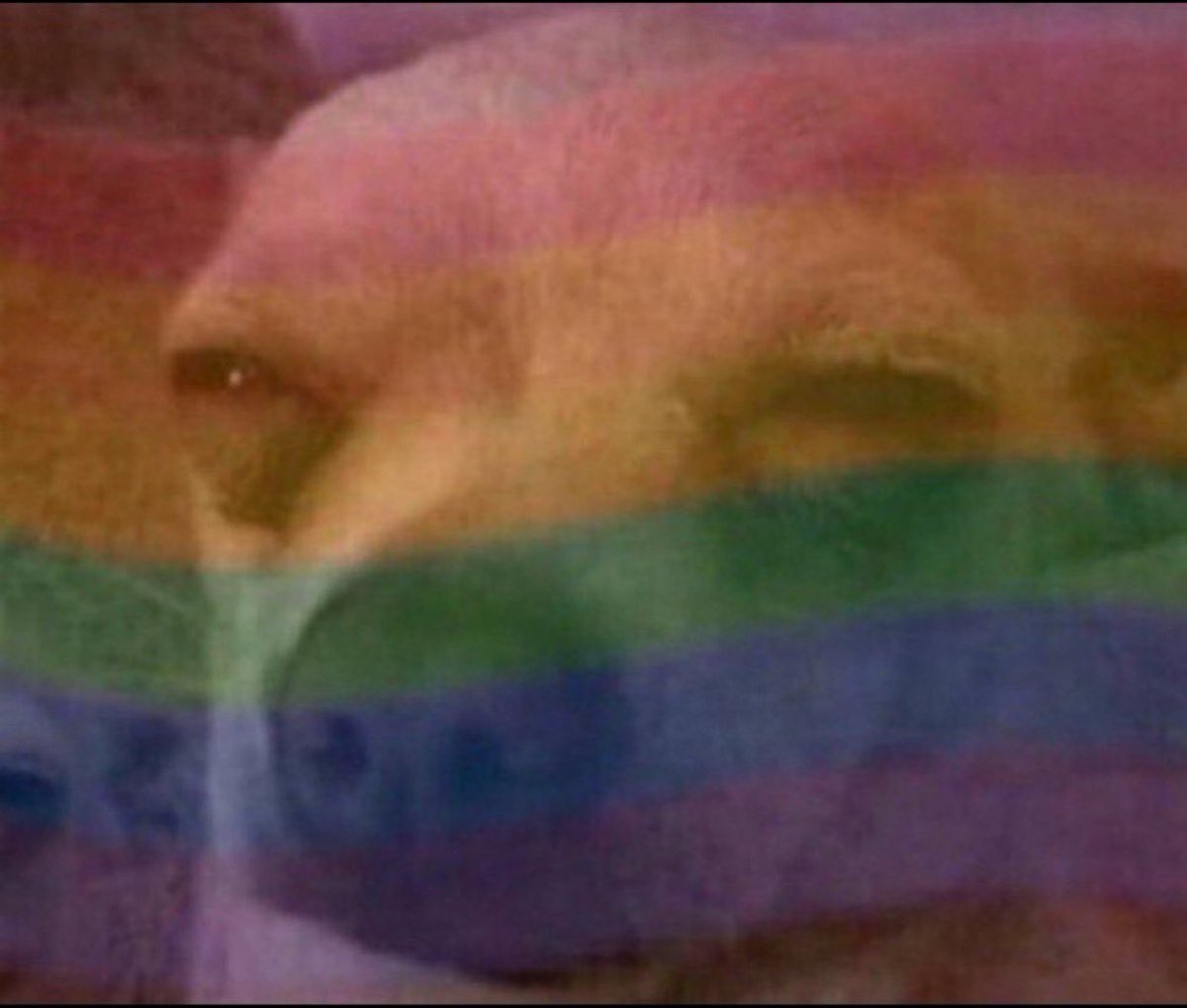 MTUJAKOKUBWA tweet media