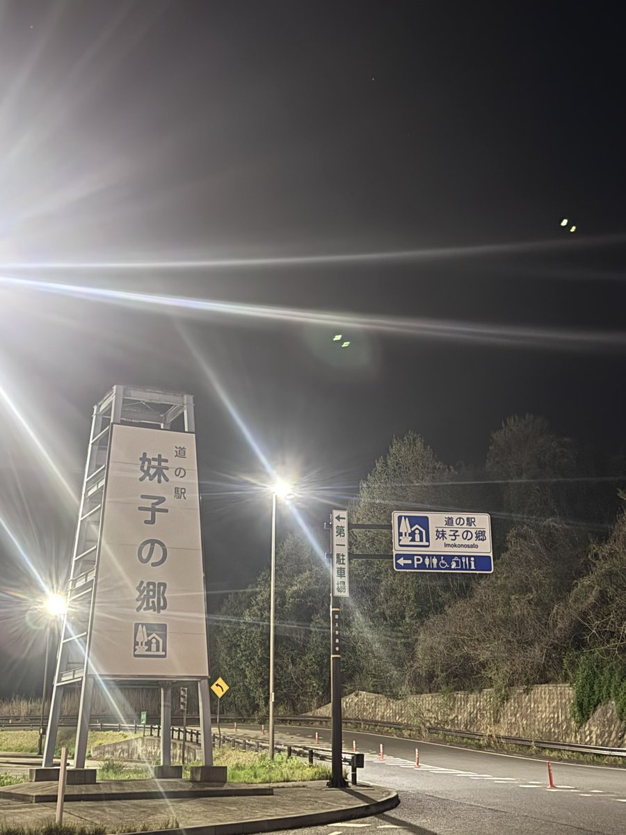 HamuHamu tweet media