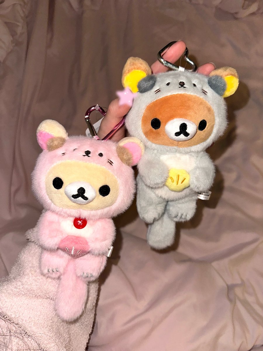 みや☆ tweet media