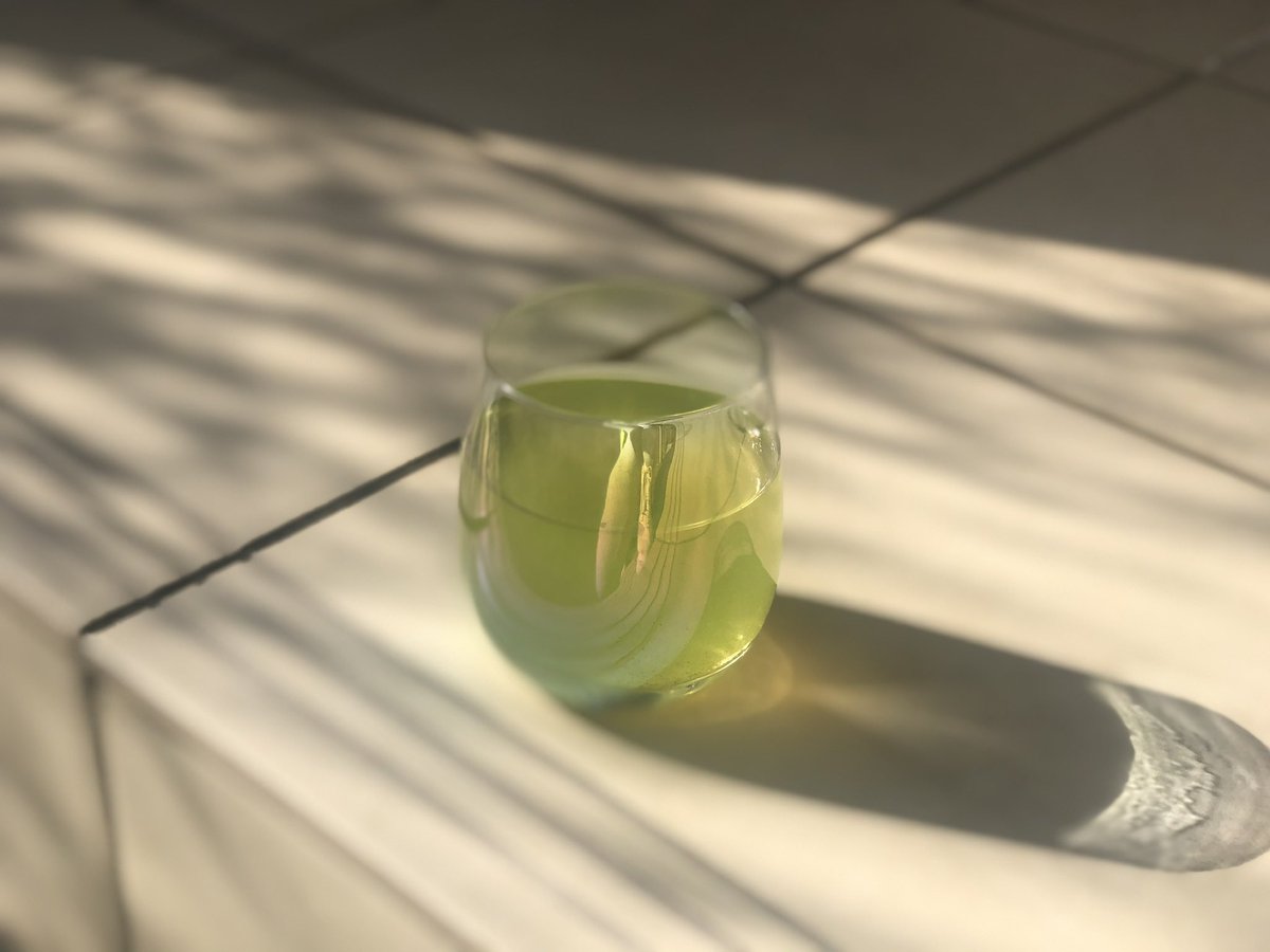 茂木雅世（お茶もきこ） tweet media