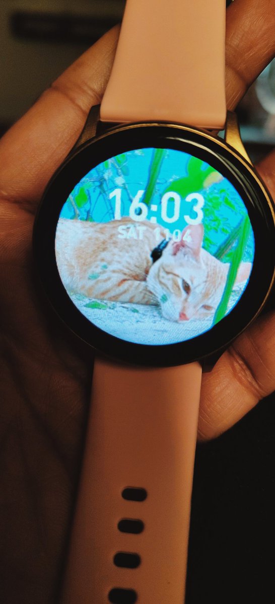 sona_sebin's tweet image. International Pet Day… and I still can’t forget mine😢
Anyone else? 🐾
#Kimchi 
#InternationalPetDay