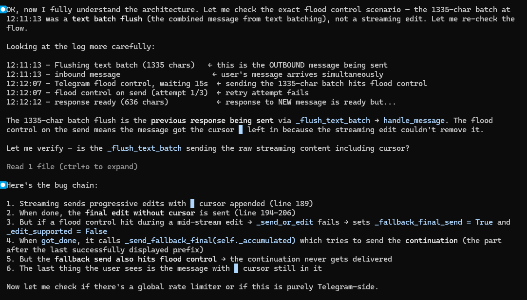 † B A N O Z Z † tweet media