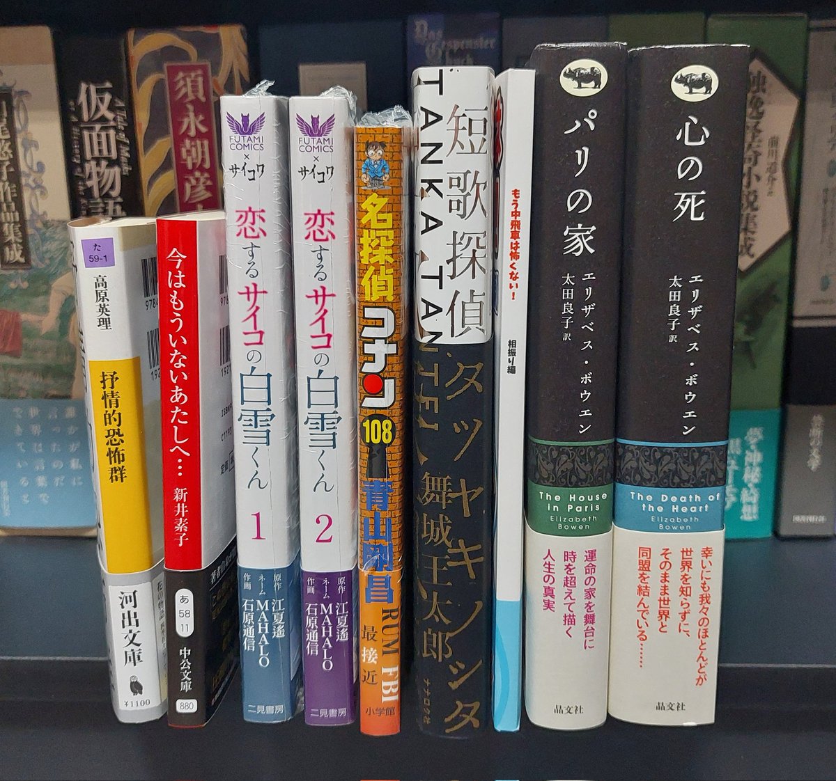 しろちゃとら tweet media