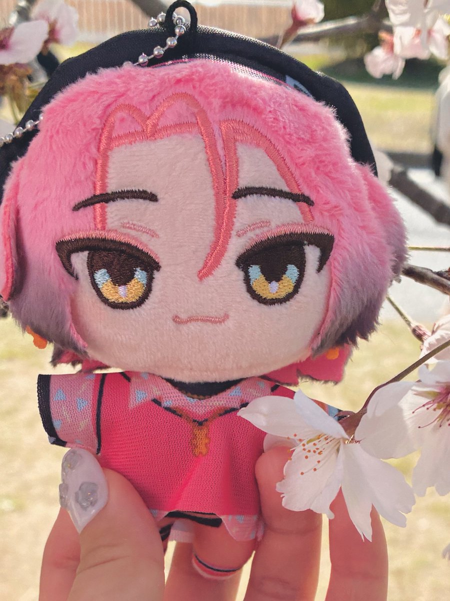 ぽこよ tweet media