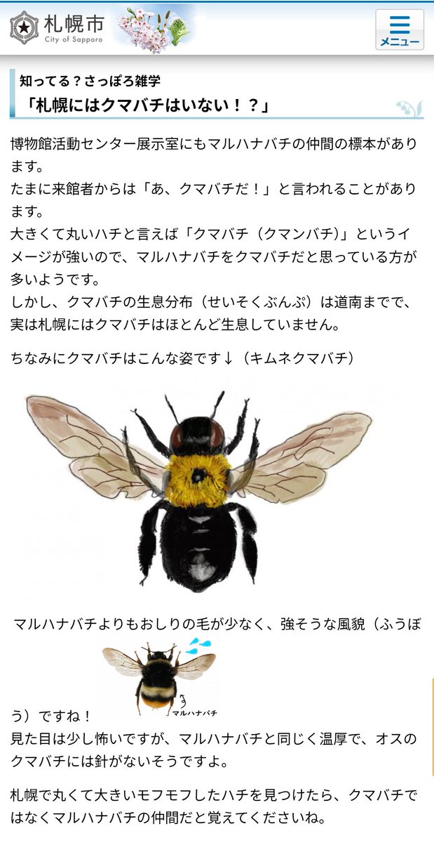 スタタボ tweet media