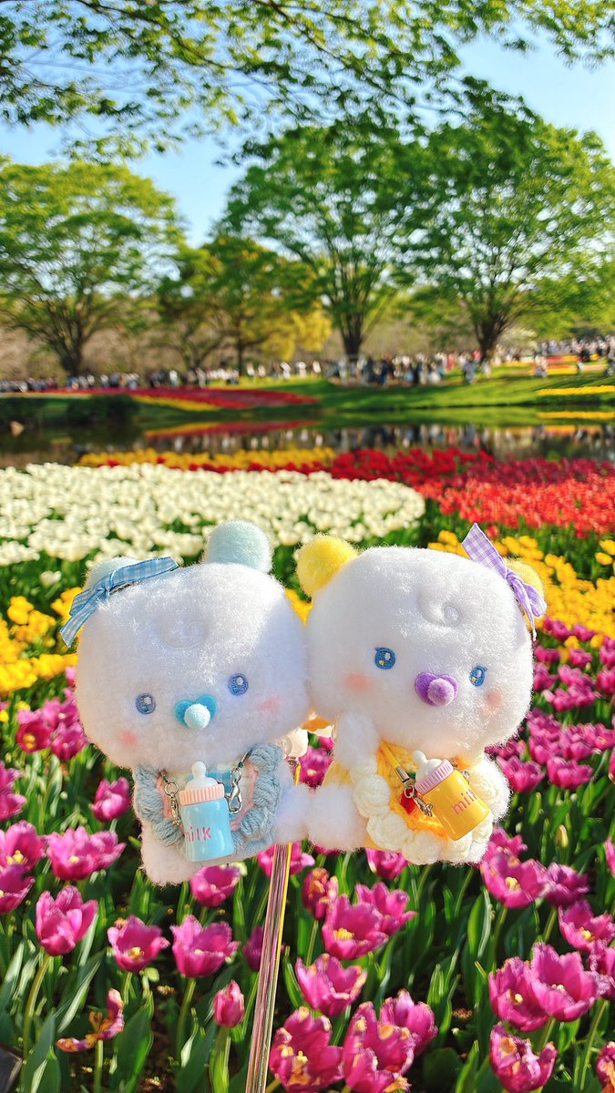 🌷🌱🌸🌿🌼☘️🌈