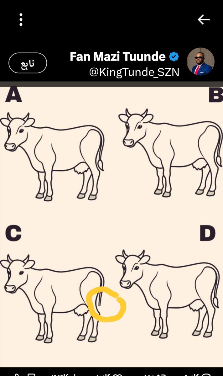 ابراهيم ابوعبدالرحمن 💙🏐💙 tweet media