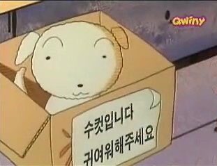 lenacd01's tweet image. 출완
흰둥이들 어서와!
#YOU #CD바