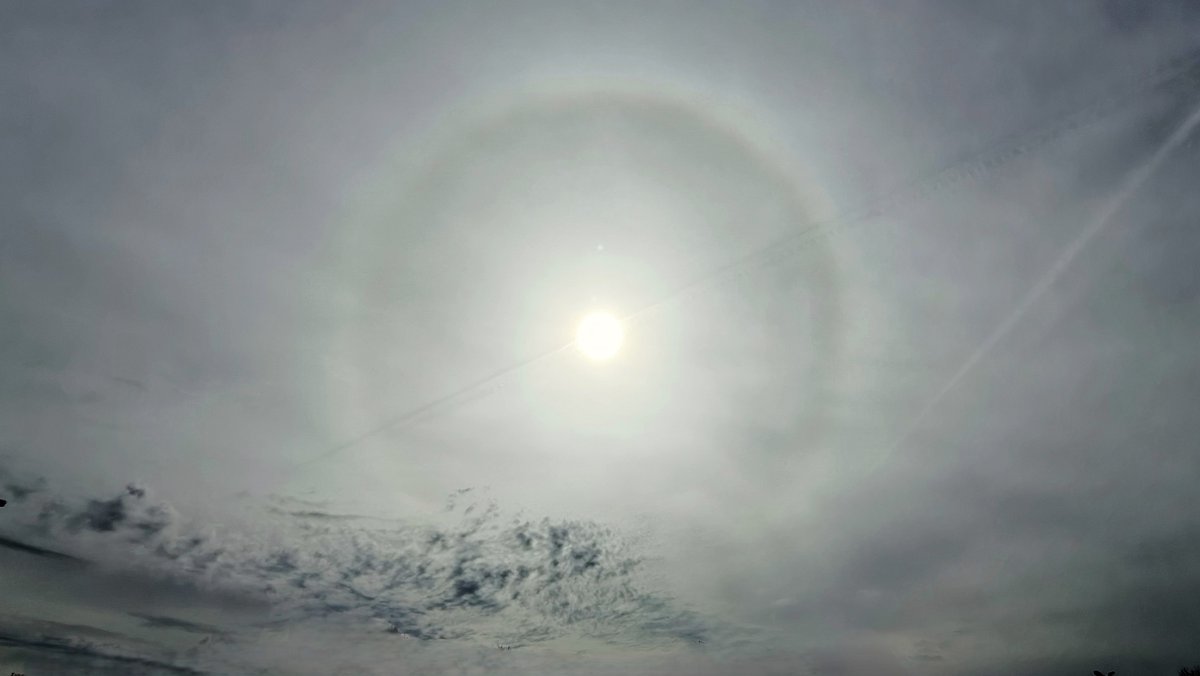 Ton Wesselius tweet media