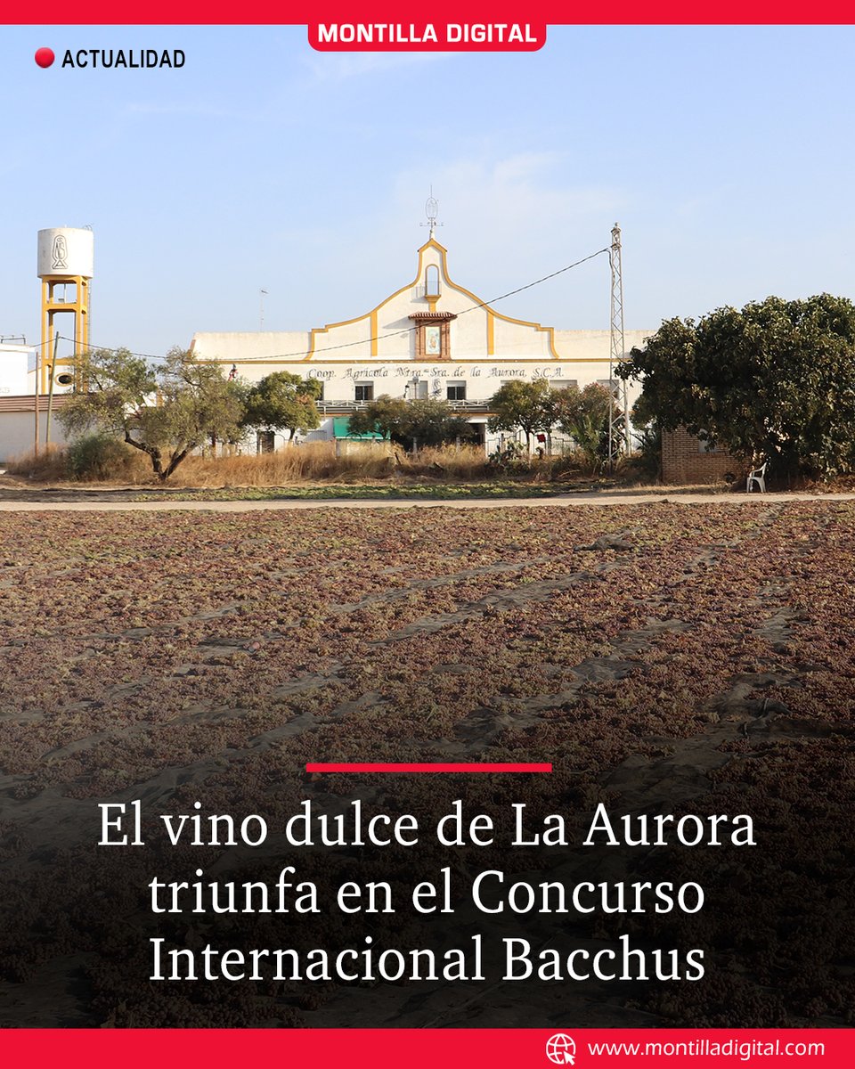 Montilla Digital tweet media