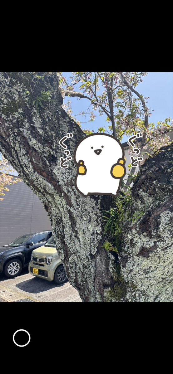 往復一万円 tweet media