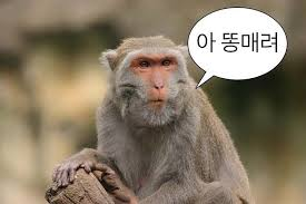 슥딱선 tweet media