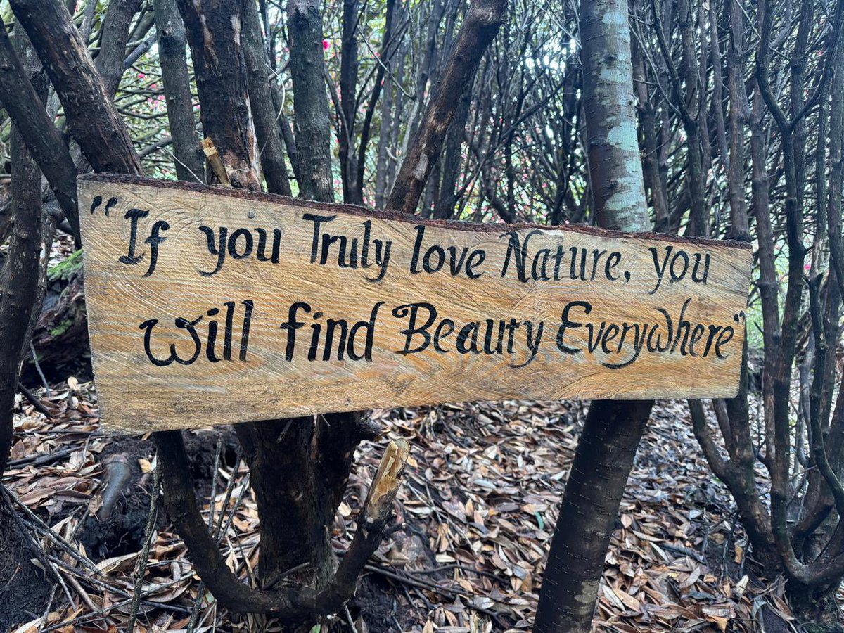 PemaKhanduBJP's tweet photo. Amid vibrant rhododendrons, simple messages along the trail invite you to pause, reflect, and reconnect. 

📍Rhododendron Park, Khrimu, Tawang https://t.co/OvDkQ7SQnd