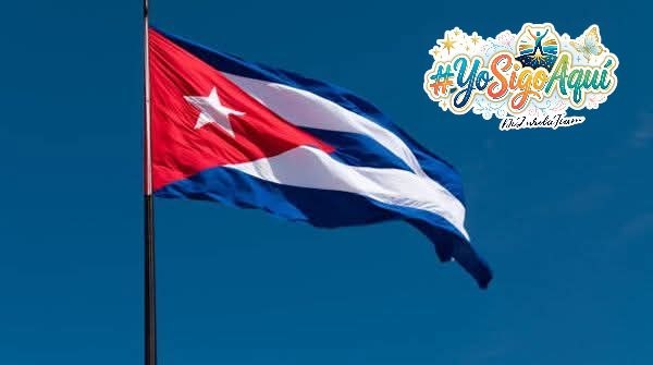 Natali Cuba tweet media