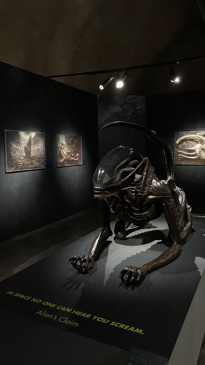 AIRO - space/acc tweet media