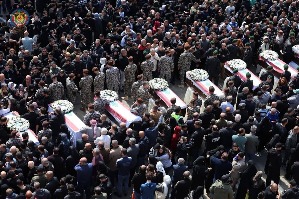 roqayah chamseddine tweet media