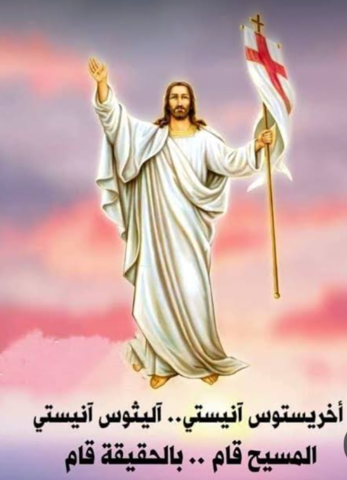 Hanan Sabry tweet media