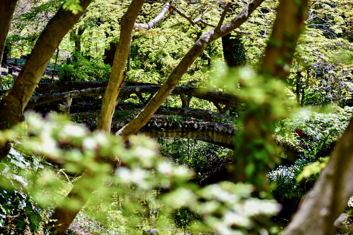 かずさん tweet media