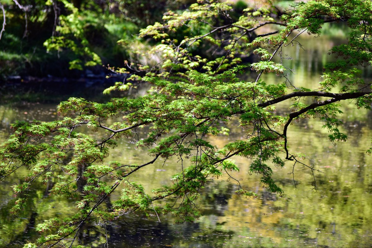 かずさん tweet media