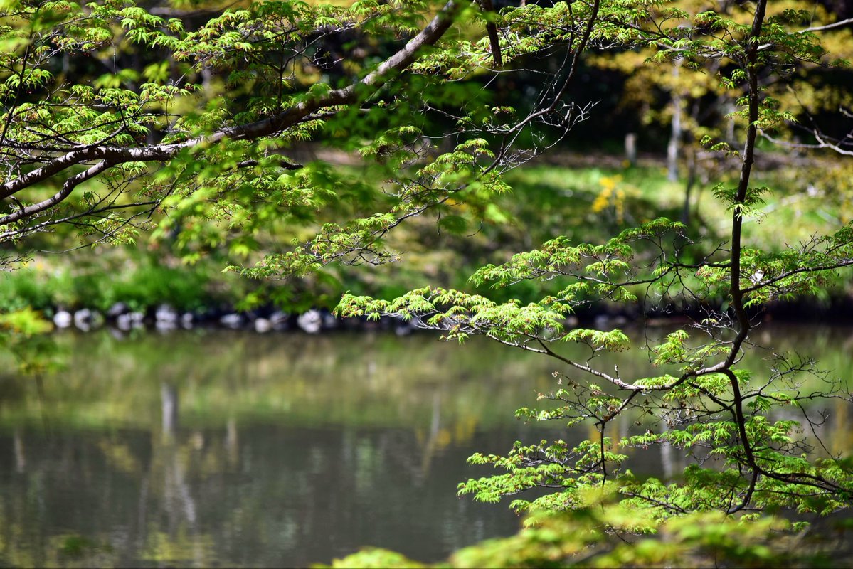 かずさん tweet media