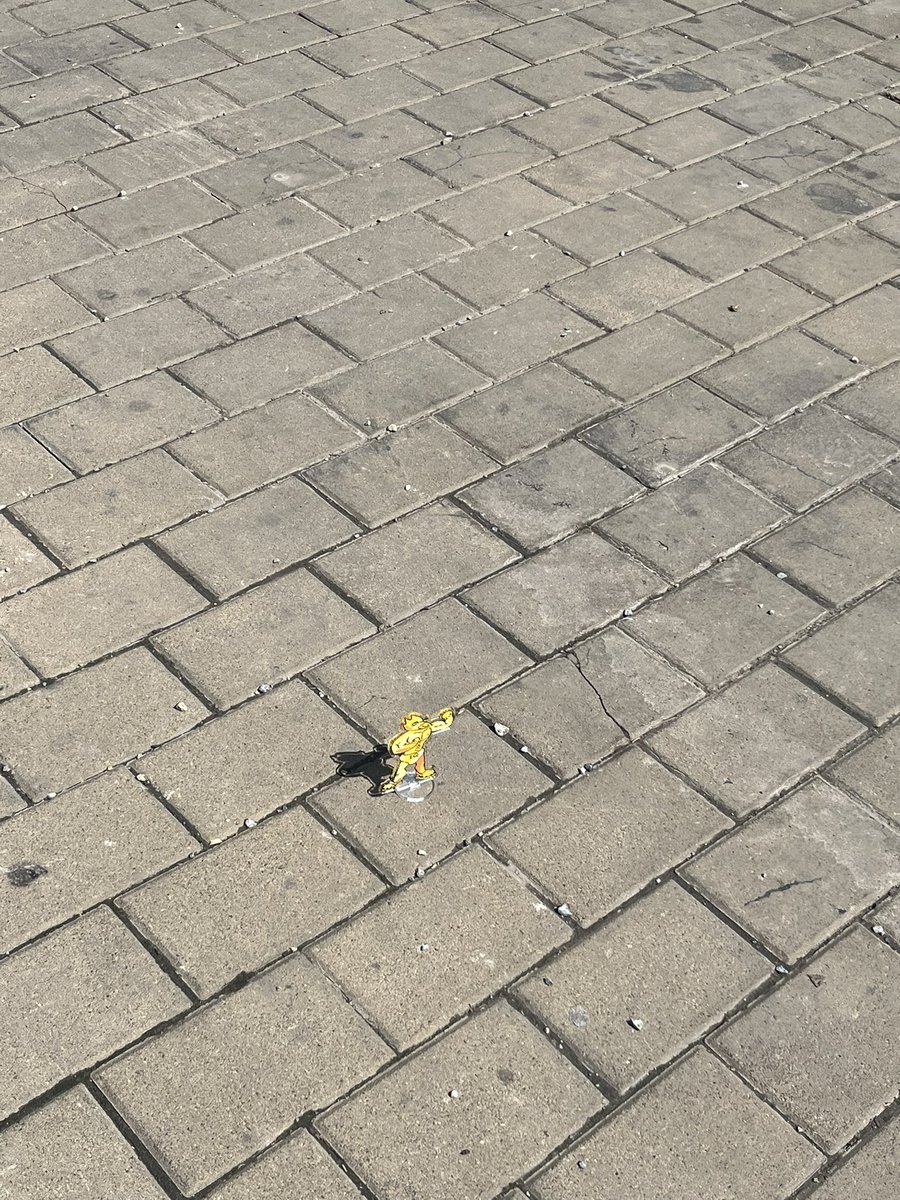 🐈⬛claire🐈 tweet media