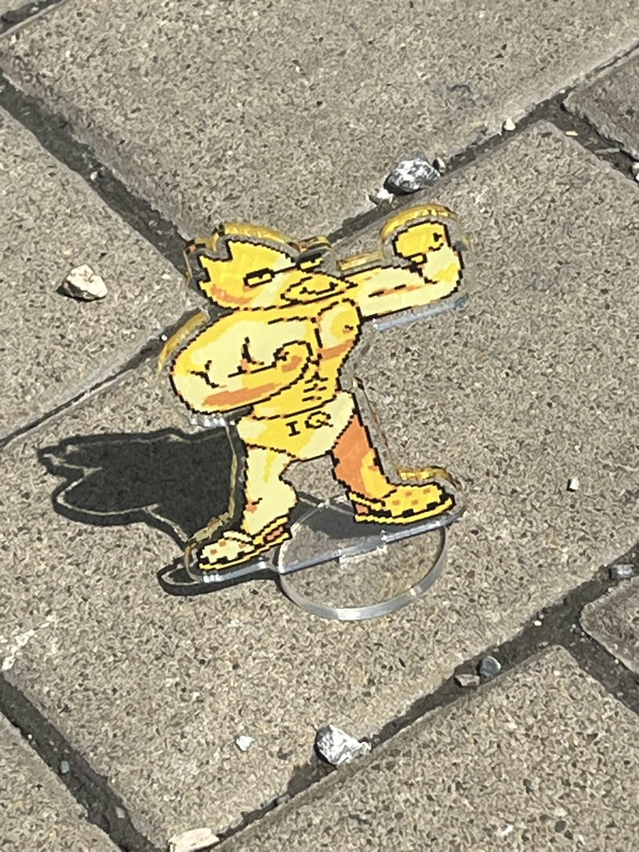 🐈⬛claire🐈 tweet media