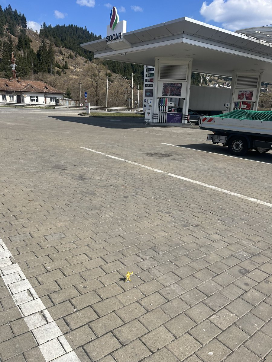 🐈⬛claire🐈 tweet media