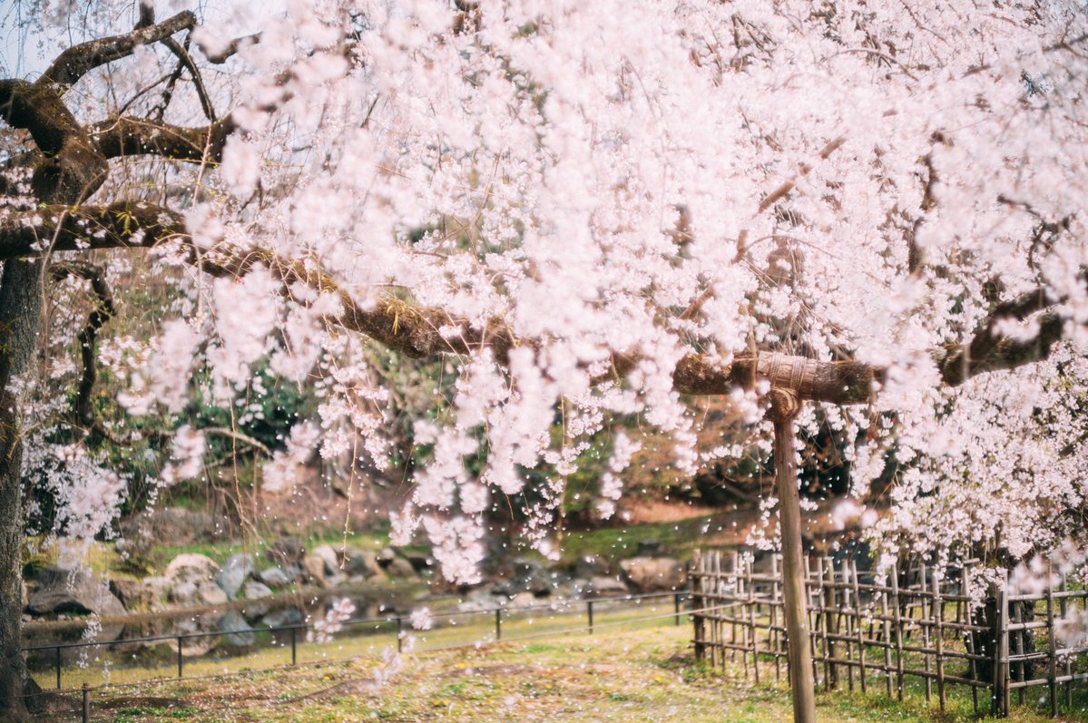 hirotographer📷旅と街とゴハンの写真 tweet media