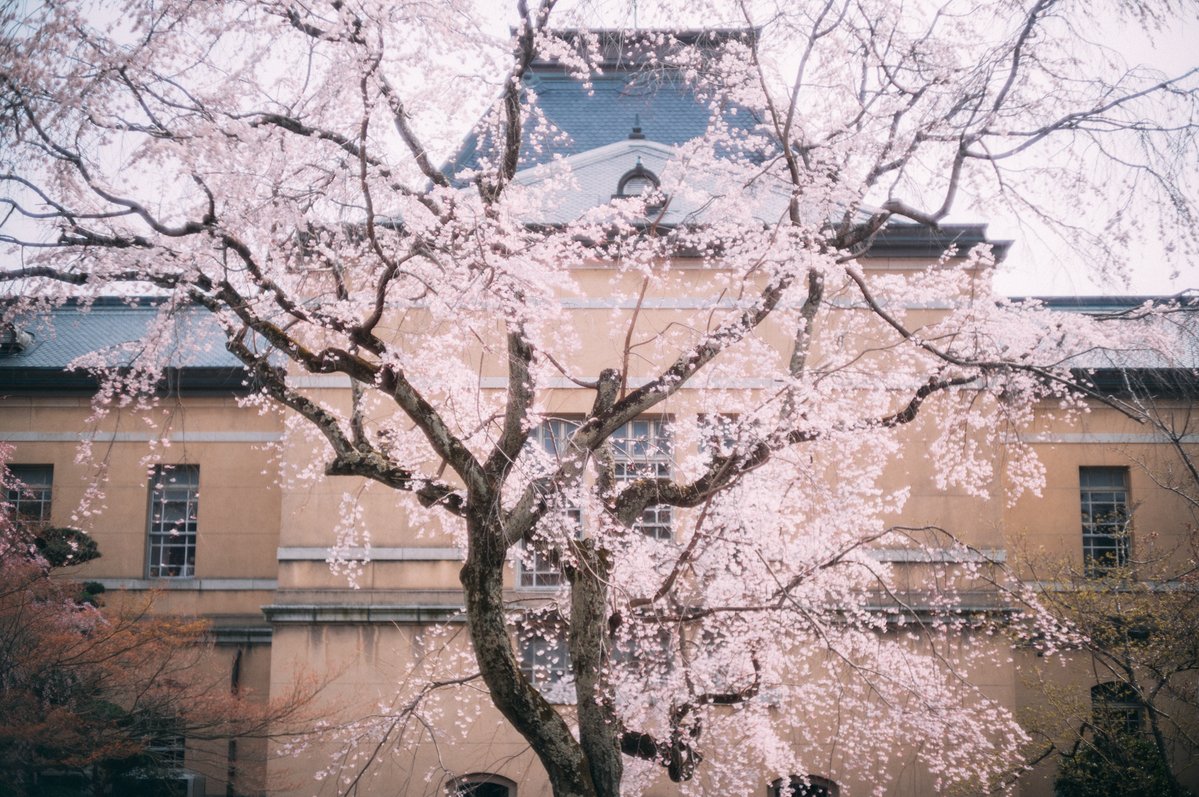 hirotographer📷旅と街とゴハンの写真 tweet media