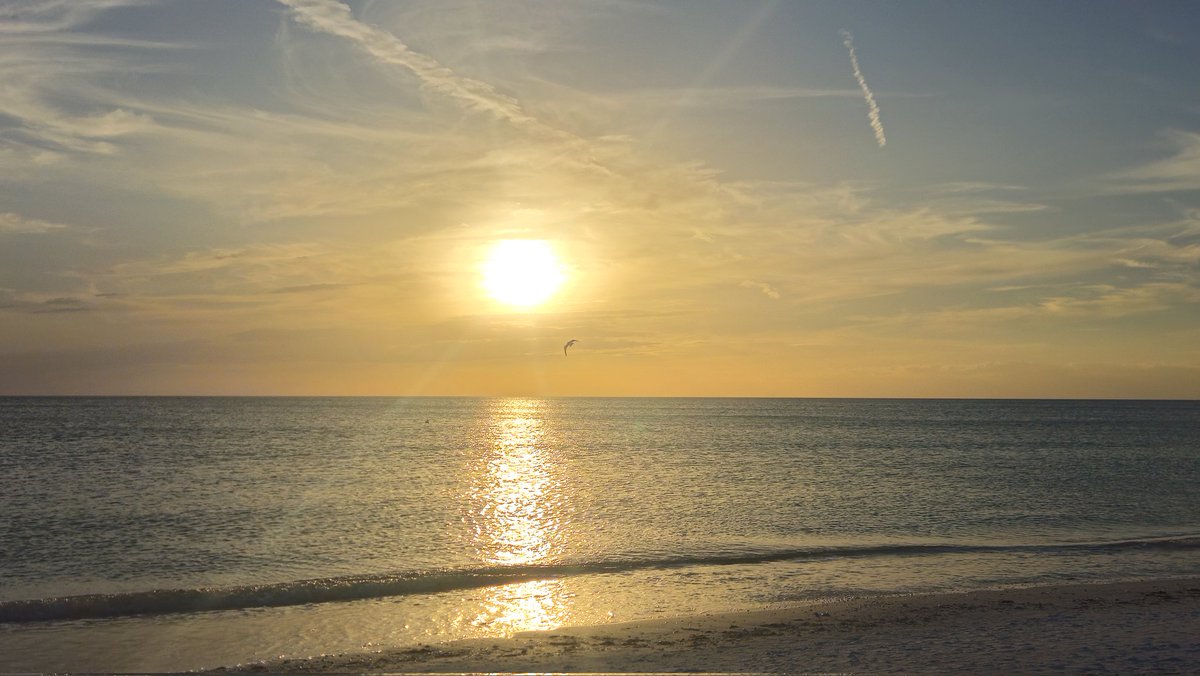 briankjohnson1's tweet image. Good morning from the Sunshine State! ☀️ Ready to soak up some vitamin D and enjoy this beautiful day. Hope you're having a fantastic start to your day too! Let the good vibes flow! 🌊 #FloridaLife #GoodMorning #SunshineState #BeachVibes