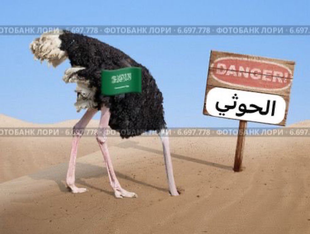 🇦🇪 𝑩𝒐𝑺𝒂𝒊𝒇 - ☠︎︎الديكتاتوري☠︎︎ 🇦🇪 tweet media